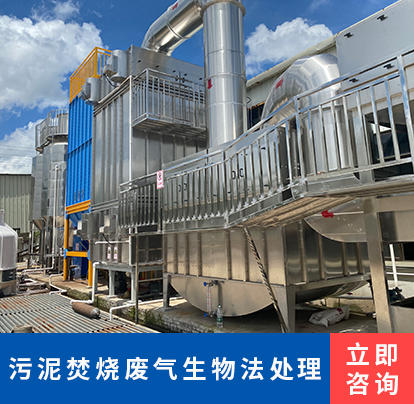 污泥焚烧废气生物法处理